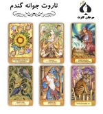 کارت تاروت جوانه گندم