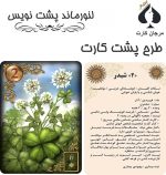 کارت لنورماند گیلد پشت نویس